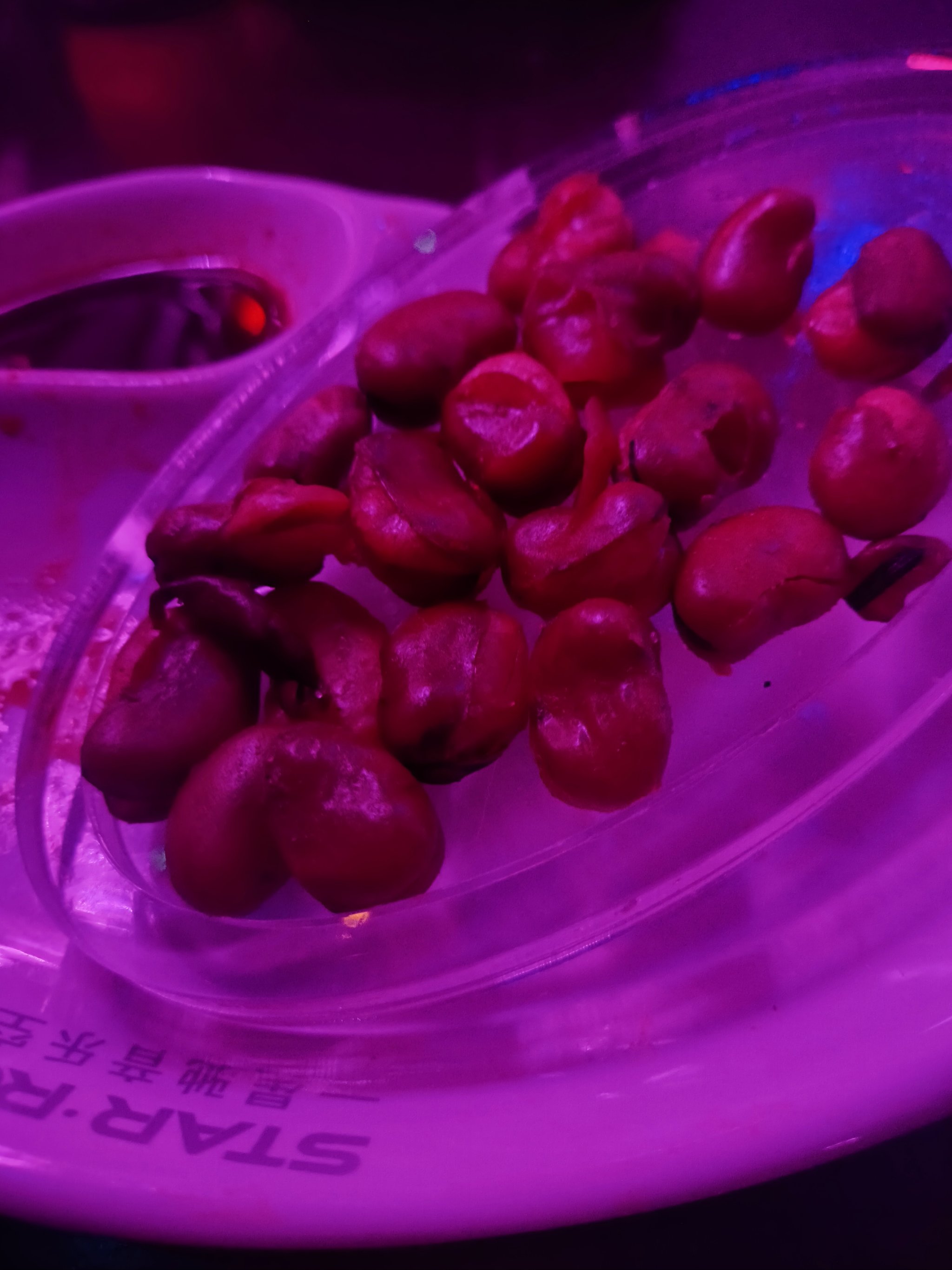 哈尔滨商务ktv独特玩法推荐-道里区ktv预订